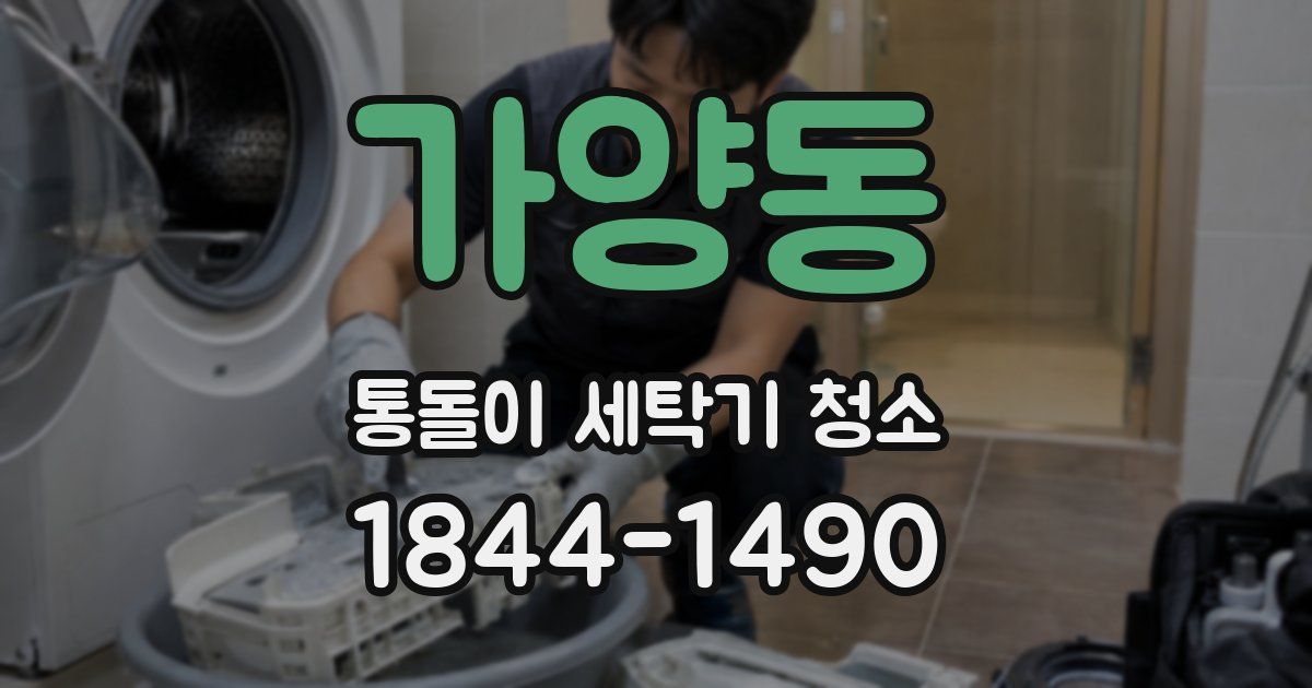 가양동 통돌이 세탁기 청소
