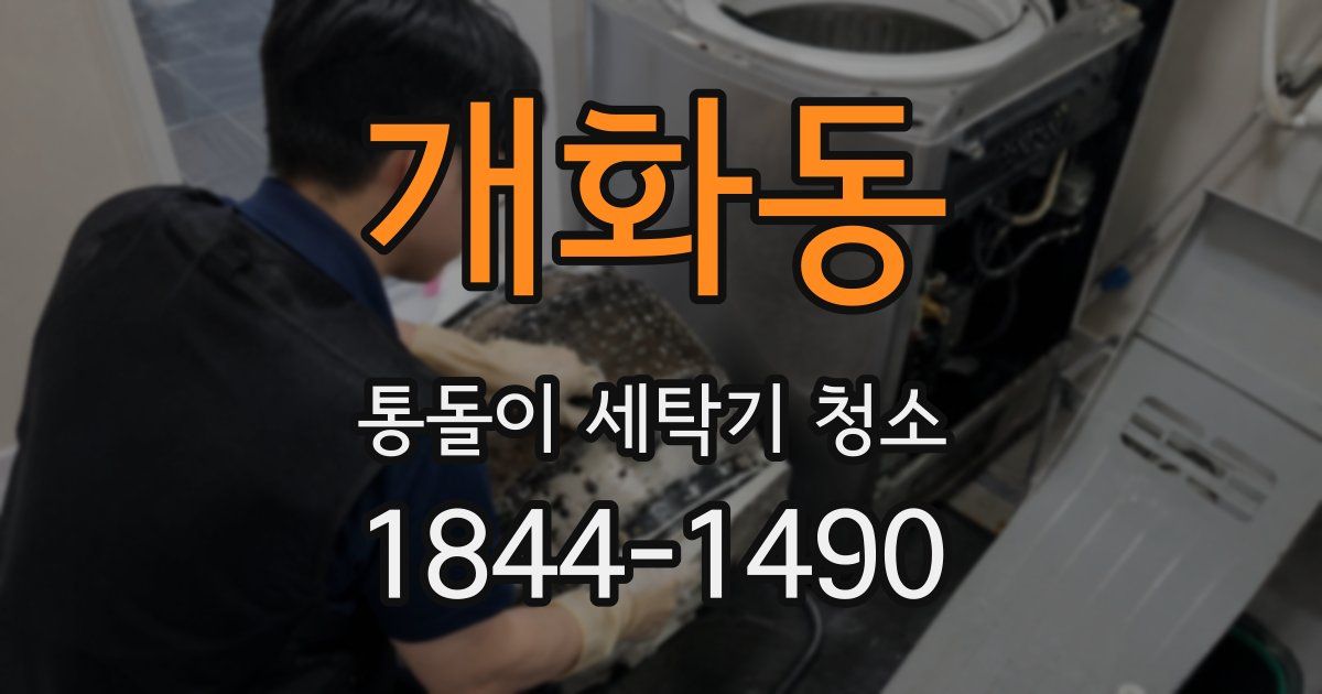 개화동 통돌이 세탁기 청소