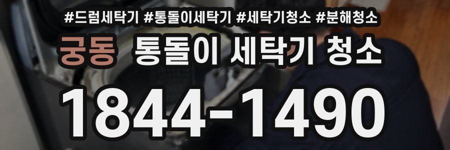 궁동 통돌이 세탁기 청소