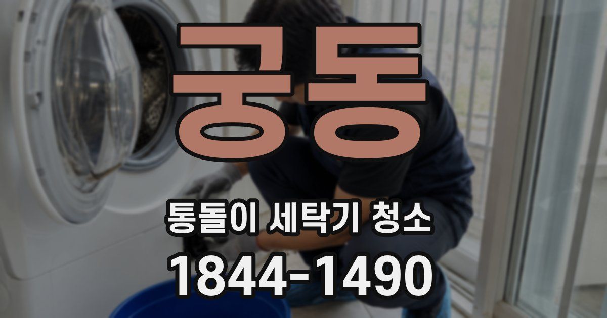 궁동 통돌이 세탁기 청소