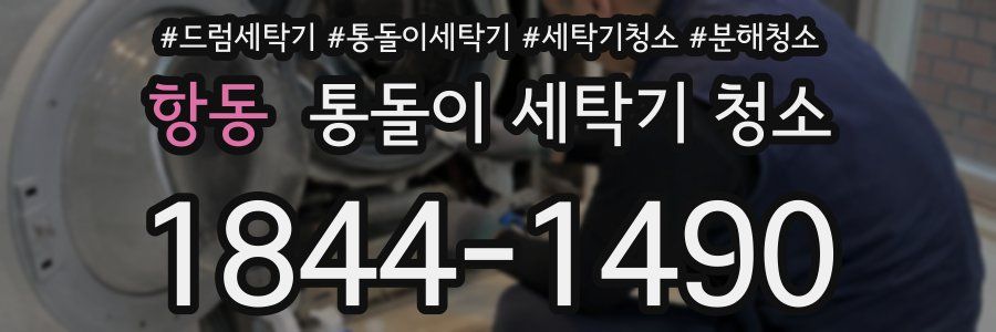 항동 통돌이 세탁기 청소
