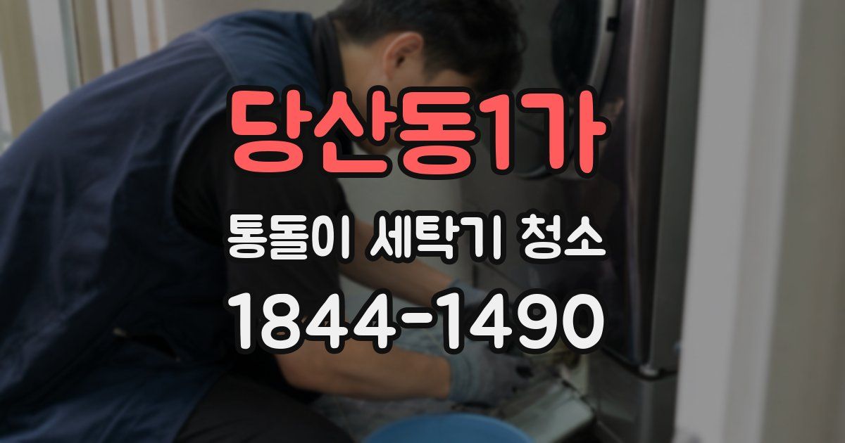 당산동1가 통돌이 세탁기 청소