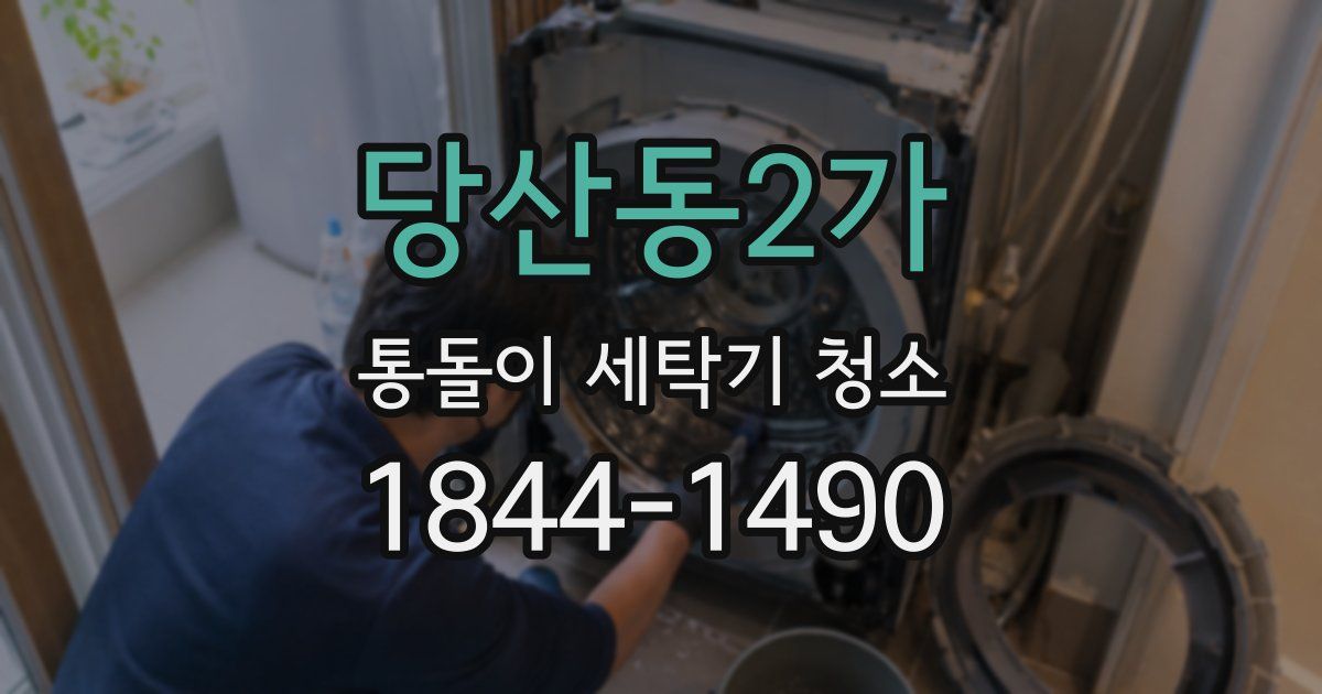 당산동2가 통돌이 세탁기 청소