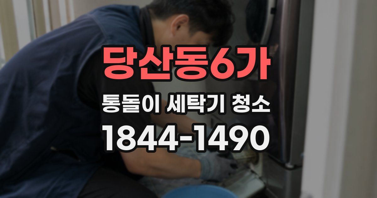 당산동6가 통돌이 세탁기 청소