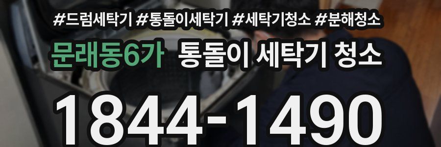 문래동6가 통돌이 세탁기 청소