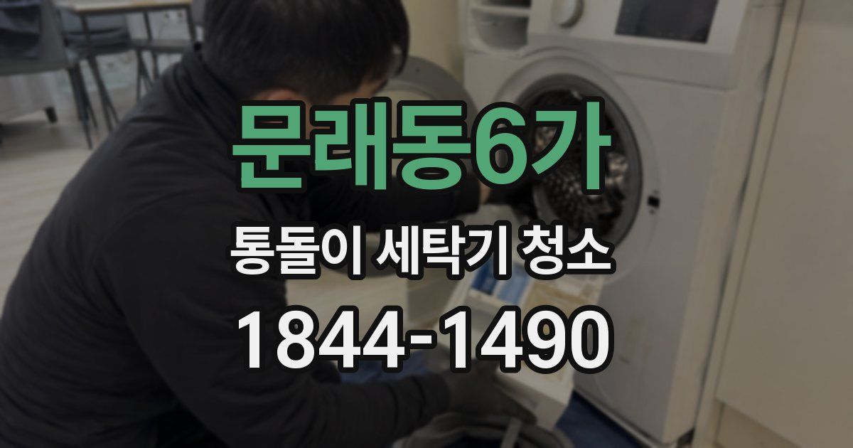 문래동6가 통돌이 세탁기 청소