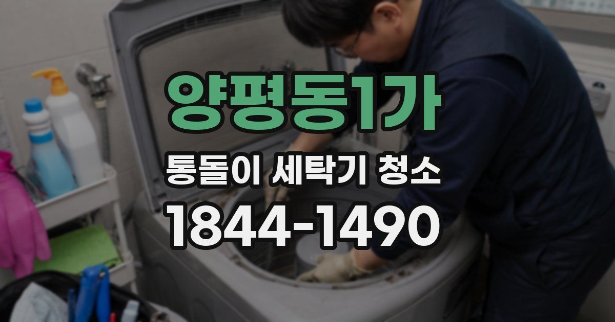 양평동1가 통돌이 세탁기 청소