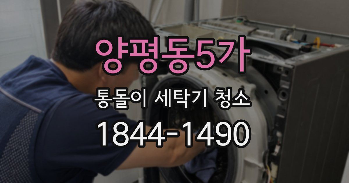 양평동5가 통돌이 세탁기 청소