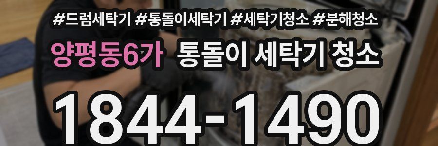 양평동6가 통돌이 세탁기 청소