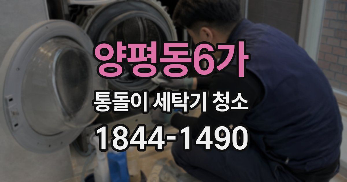 양평동6가 통돌이 세탁기 청소