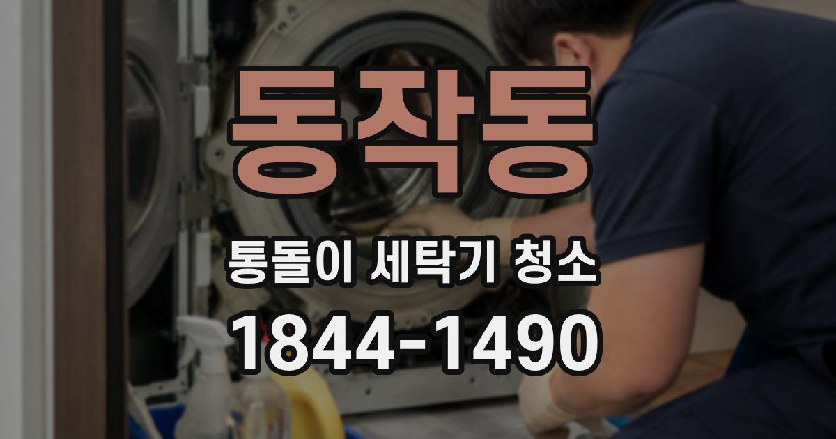 동작동 통돌이 세탁기 청소