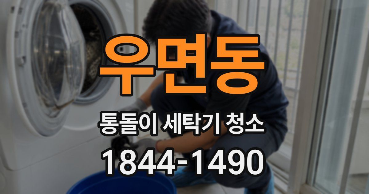 우면동 통돌이 세탁기 청소