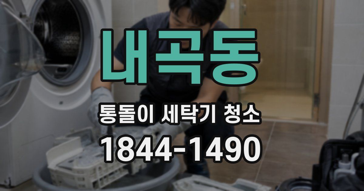 내곡동 통돌이 세탁기 청소