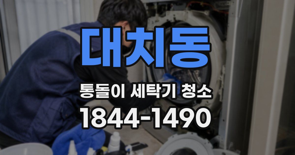 대치동 통돌이 세탁기 청소