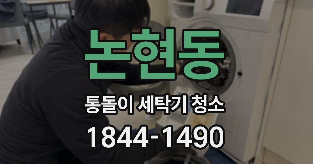 논현동 통돌이 세탁기 청소