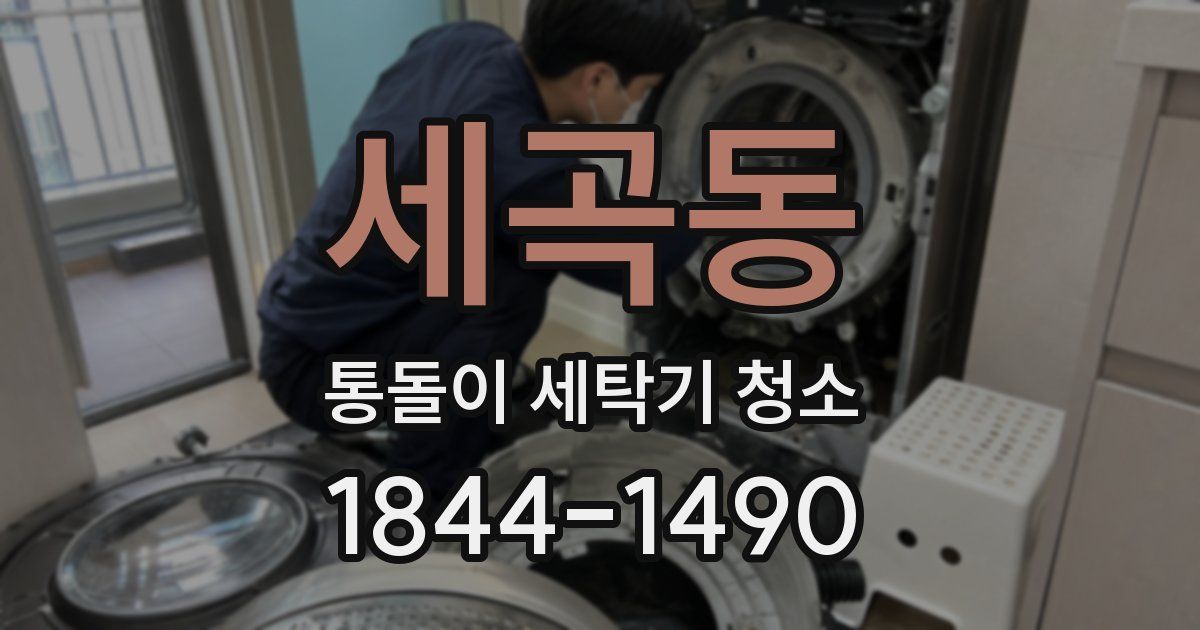 세곡동 통돌이 세탁기 청소