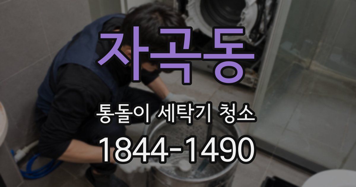 자곡동 통돌이 세탁기 청소