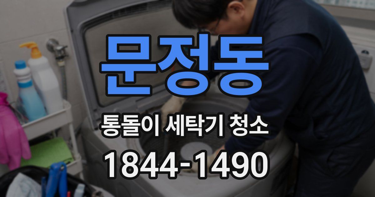 문정동 통돌이 세탁기 청소