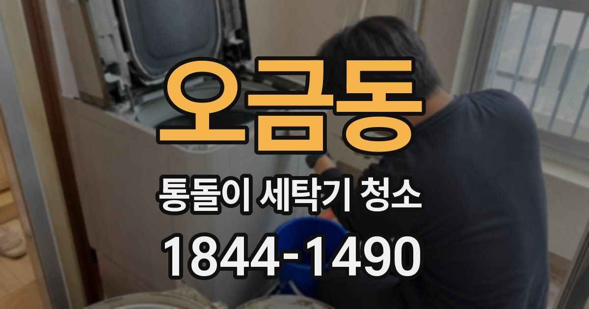 오금동 통돌이 세탁기 청소