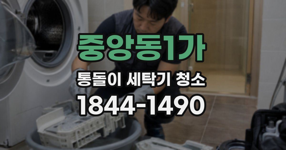 중앙동1가 통돌이 세탁기 청소
