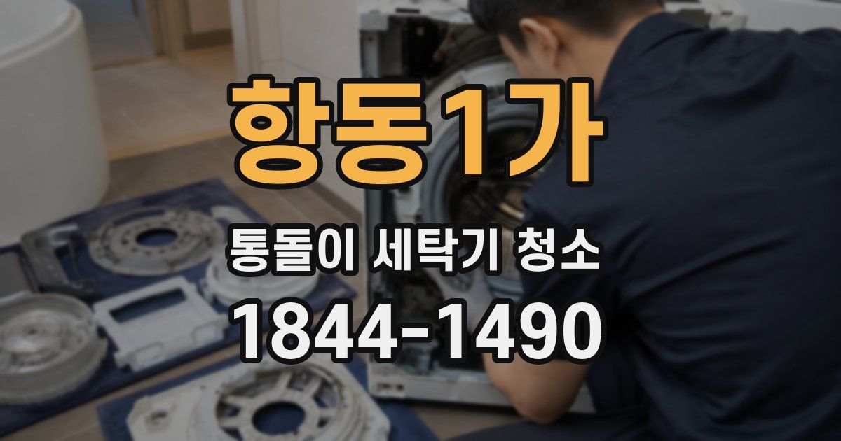 항동1가 통돌이 세탁기 청소