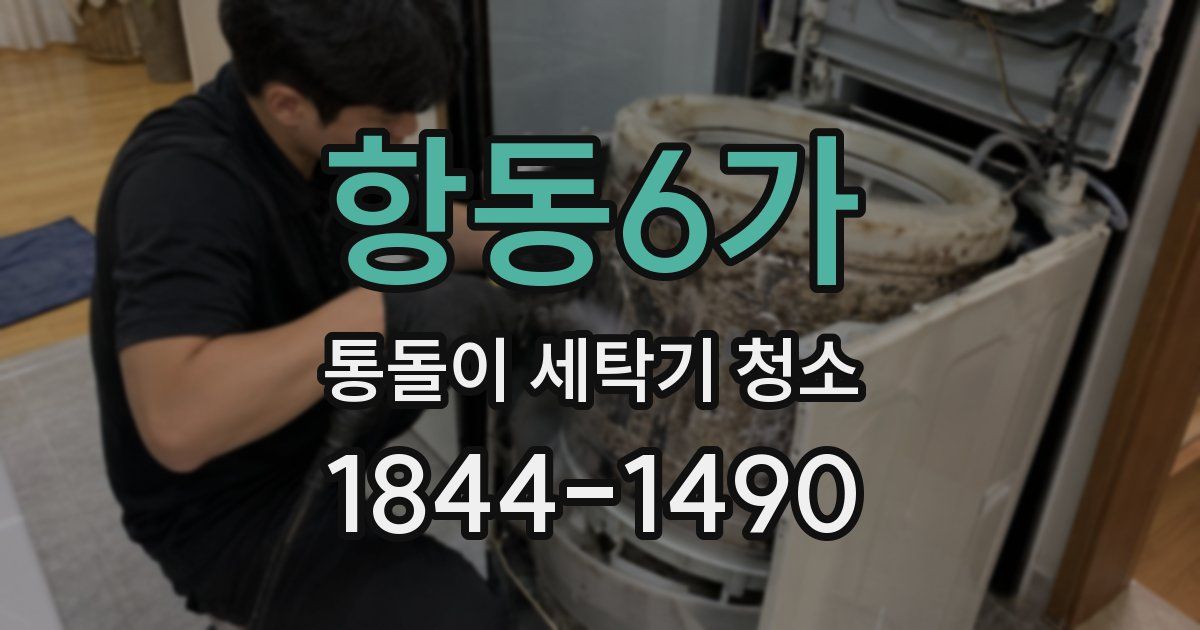 항동6가 통돌이 세탁기 청소