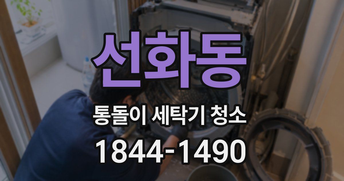 선화동 통돌이 세탁기 청소