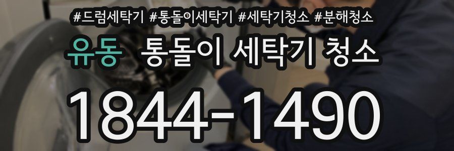 유동 통돌이 세탁기 청소