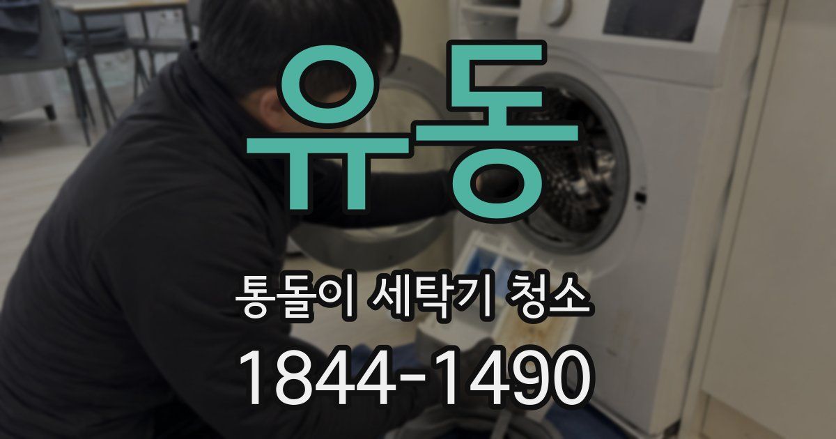유동 통돌이 세탁기 청소