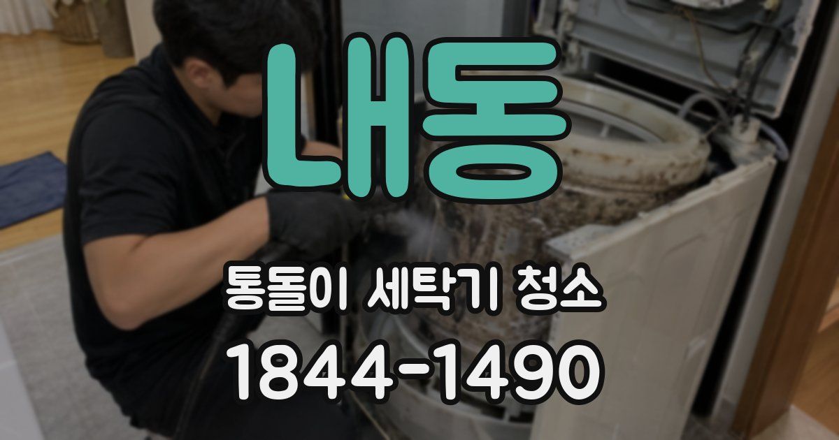 내동 통돌이 세탁기 청소