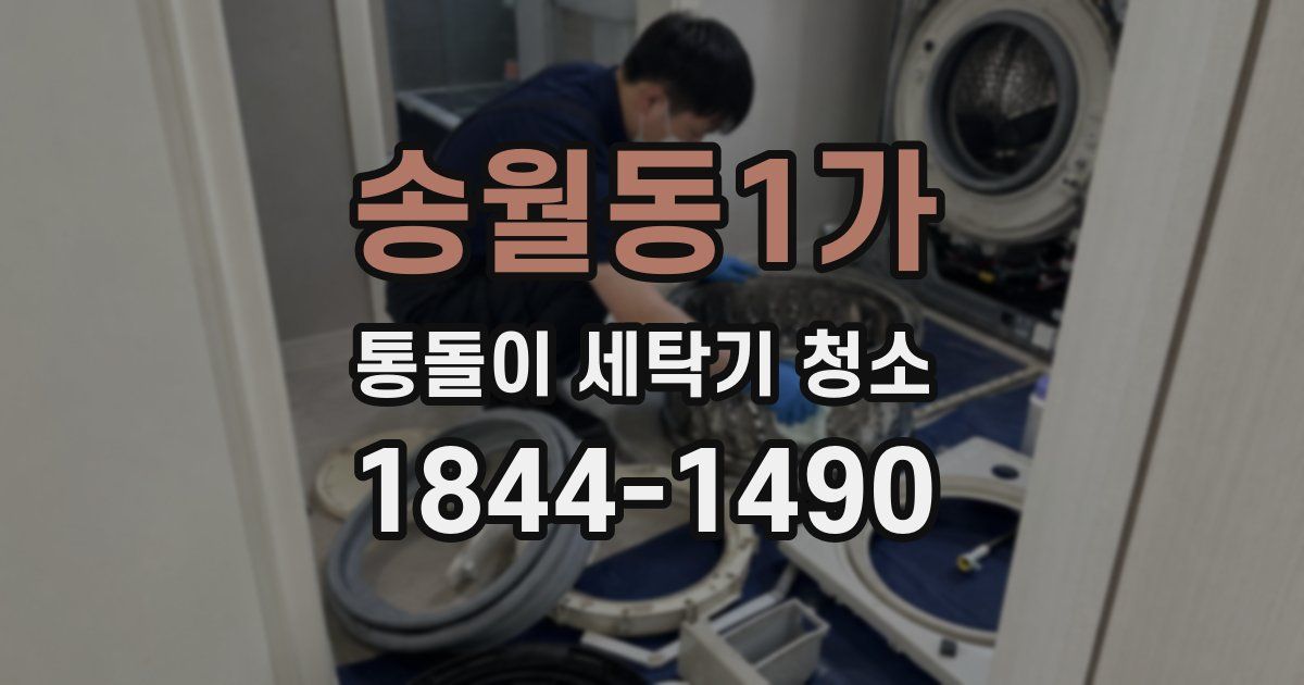 송월동1가 통돌이 세탁기 청소