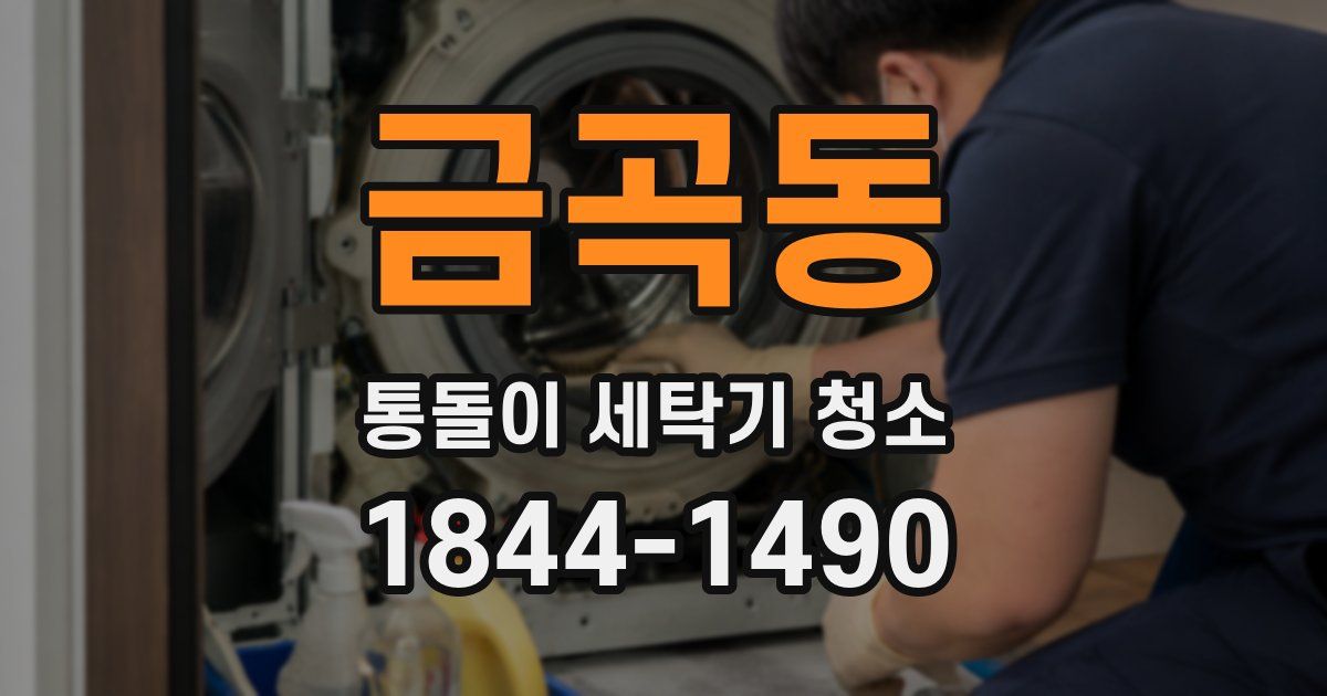 금곡동 통돌이 세탁기 청소