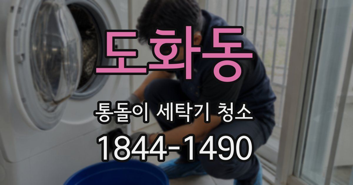 도화동 통돌이 세탁기 청소