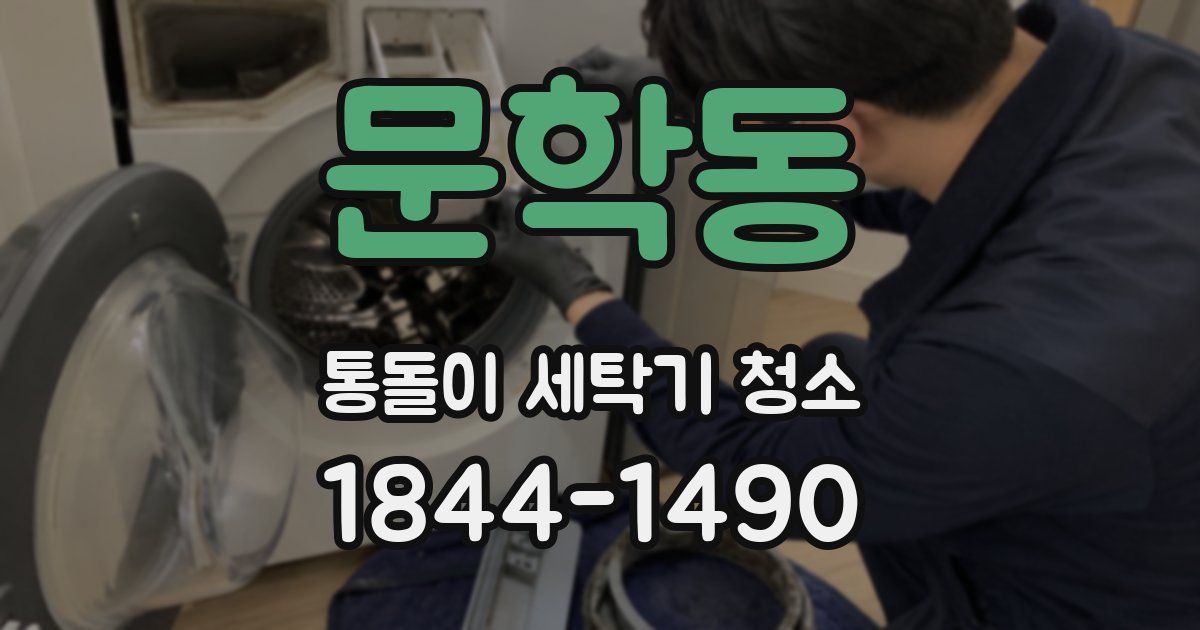 문학동 통돌이 세탁기 청소