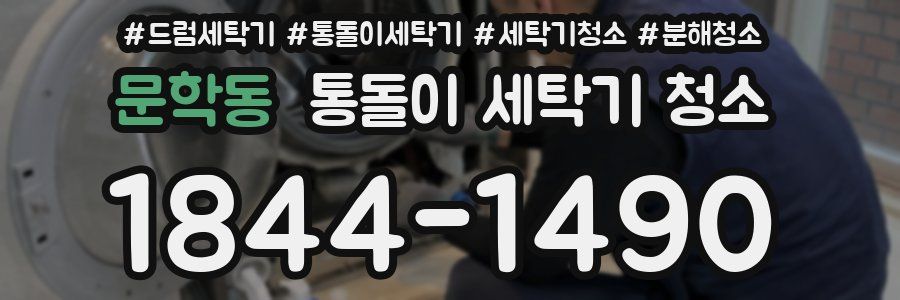 문학동 통돌이 세탁기 청소
