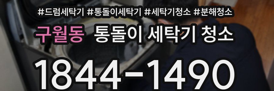 구월동 통돌이 세탁기 청소