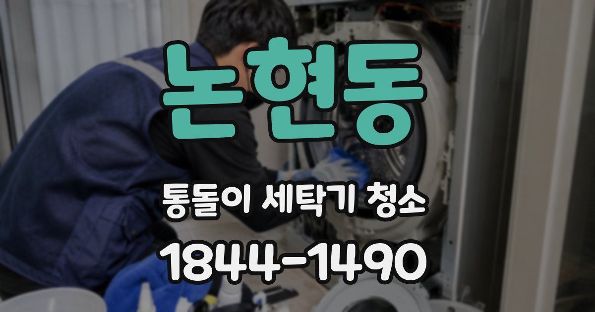 논현동 통돌이 세탁기 청소