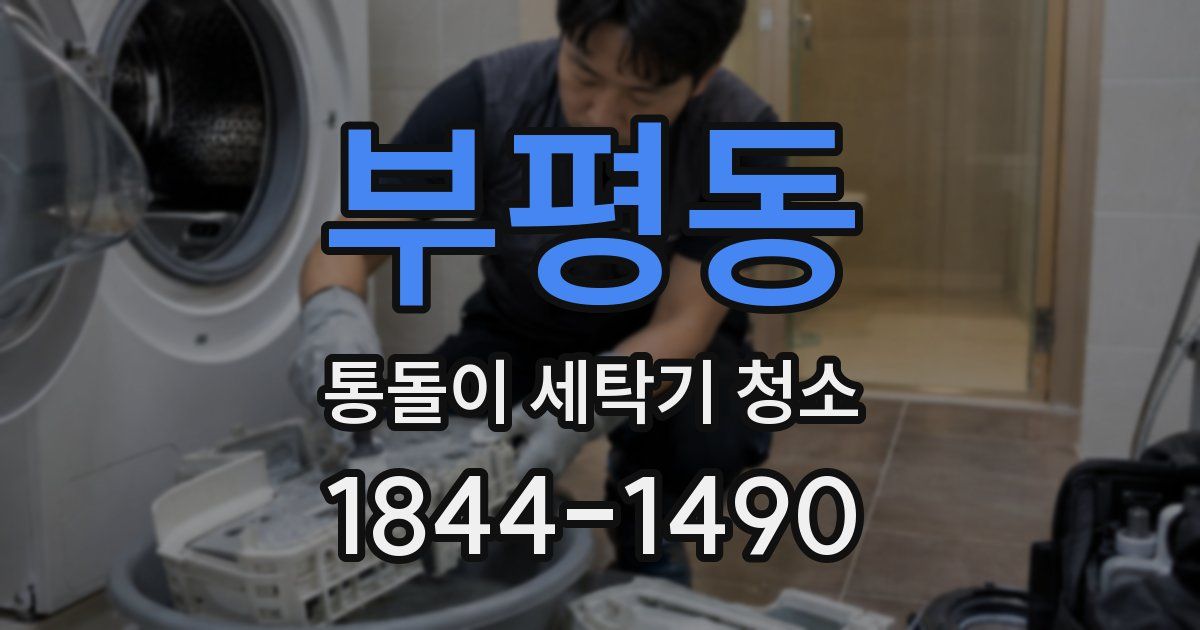 부평동 통돌이 세탁기 청소