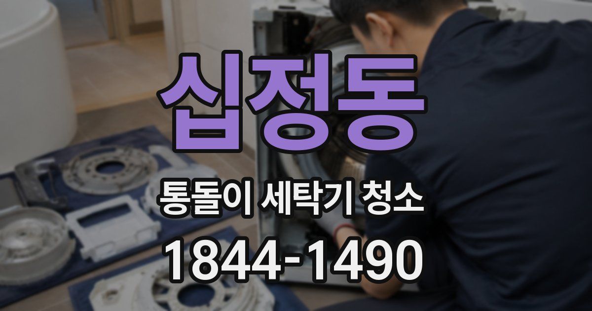 십정동 통돌이 세탁기 청소