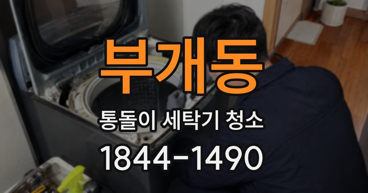 부개동 통돌이 세탁기 청소