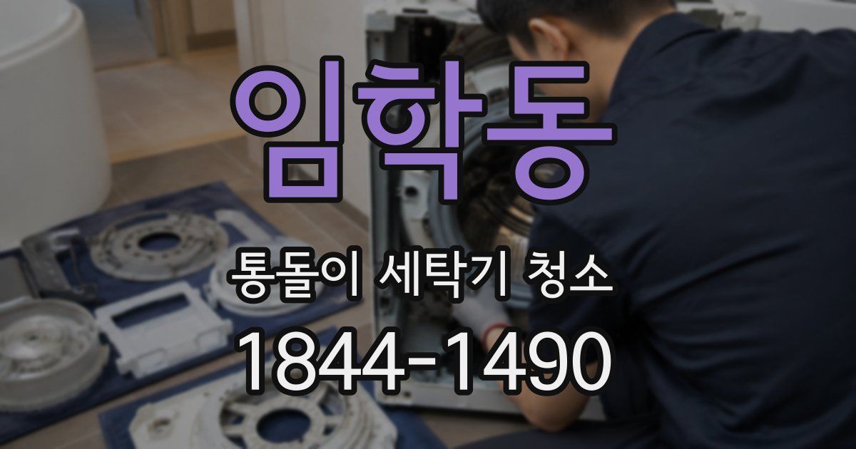 임학동 통돌이 세탁기 청소