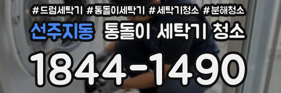 선주지동 통돌이 세탁기 청소