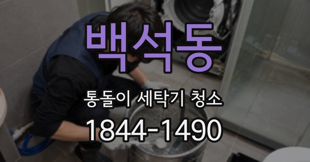 백석동 통돌이 세탁기 청소