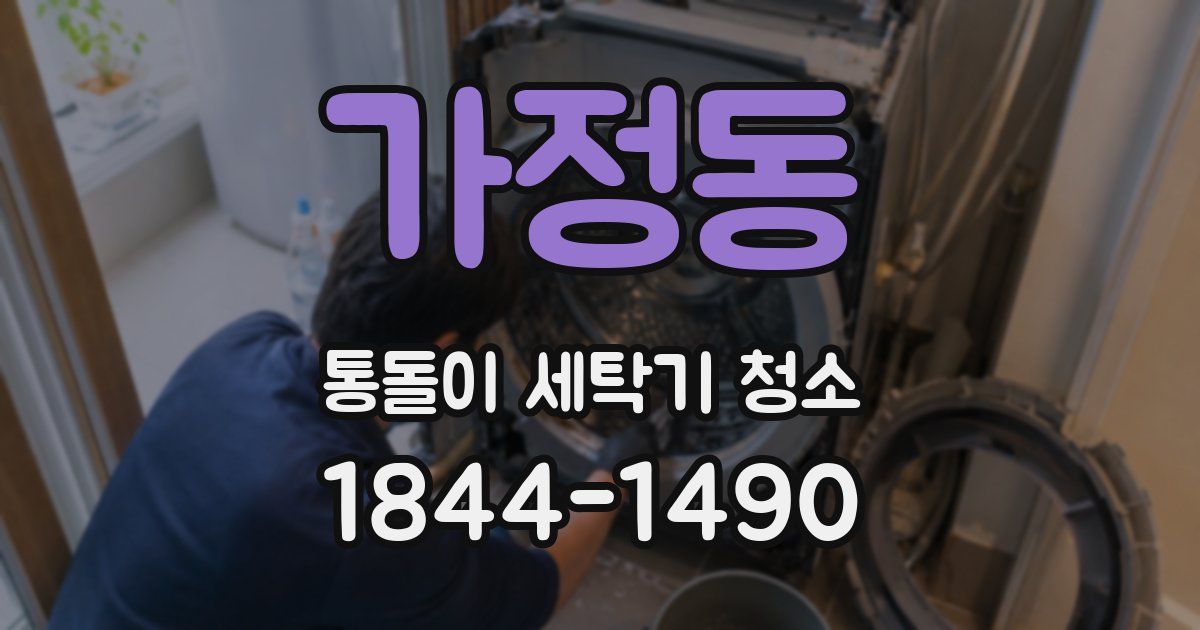 가정동 통돌이 세탁기 청소