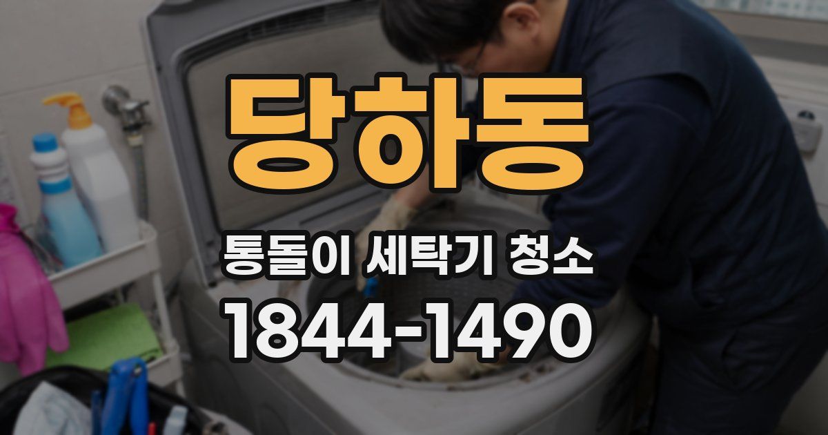 당하동 통돌이 세탁기 청소
