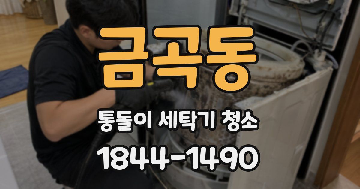 금곡동 통돌이 세탁기 청소