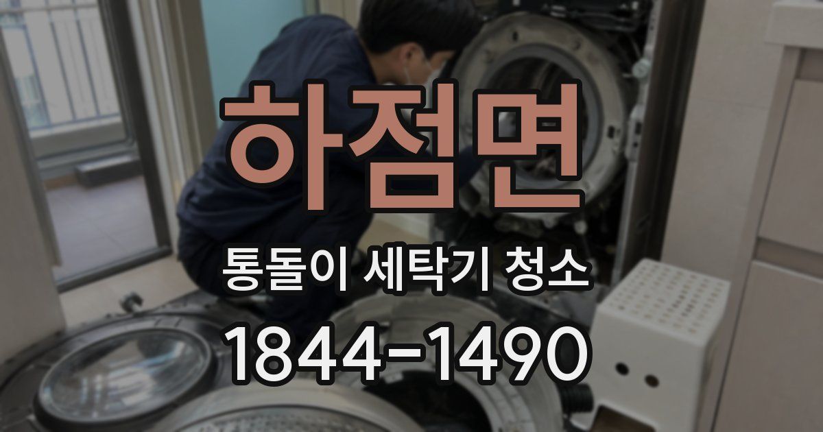 하점면 통돌이 세탁기 청소