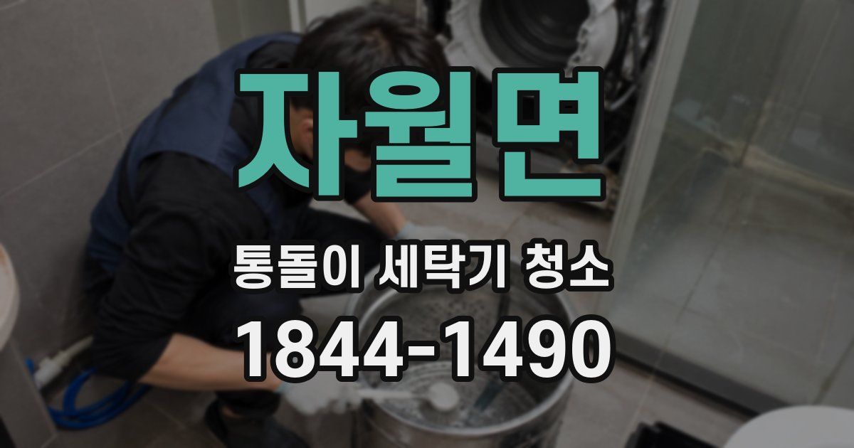 자월면 통돌이 세탁기 청소