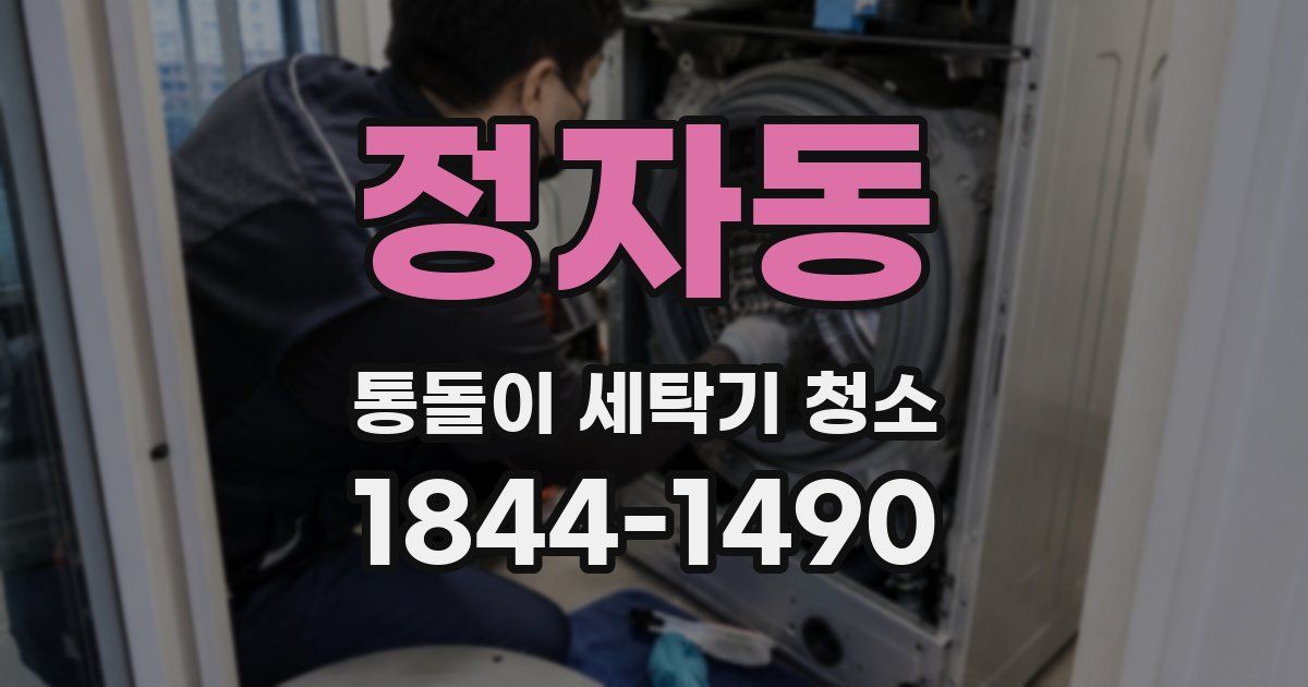 정자동 통돌이 세탁기 청소