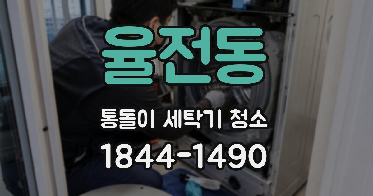 율전동 통돌이 세탁기 청소